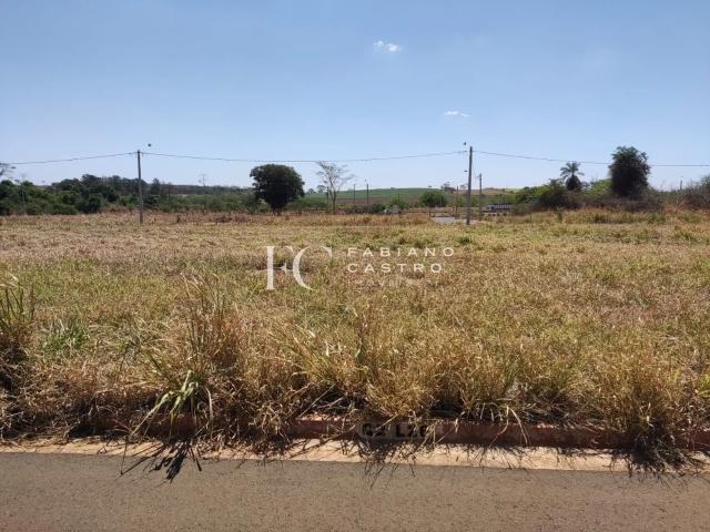 Terreno venda em Região Imediata de São José do Rio Preto, Região Metropolitana de São José do Rio Preto