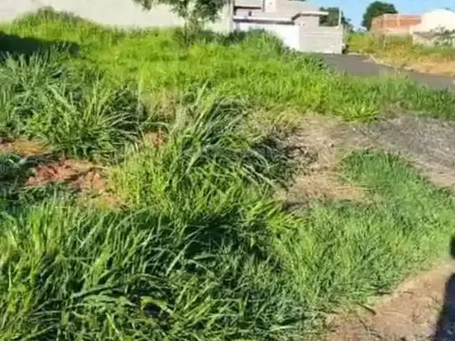 Terreno venda em Região Imediata de São José do Rio Preto, Região Metropolitana de São José do Rio Preto