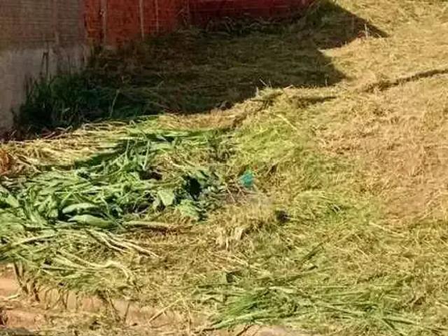 Terreno venda em Região Imediata de São José do Rio Preto, Região Metropolitana de São José do Rio Preto