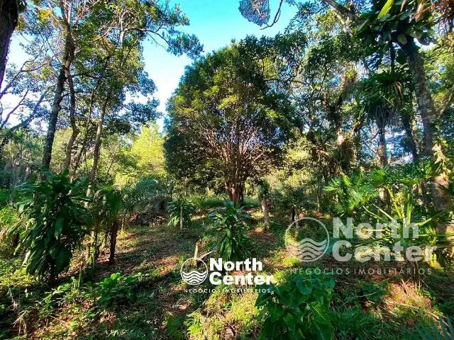 Terreno venda em Região Geográfica Imediata de Joinville, Balneario Barra do Sul