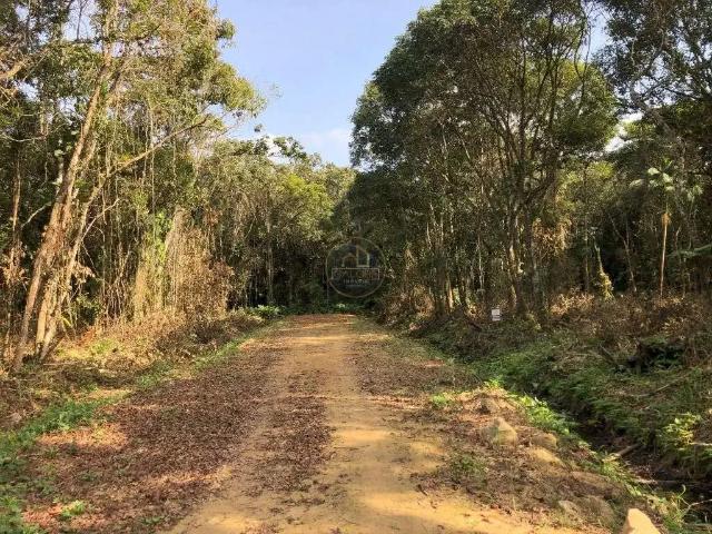 Terreno venda em Região Geográfica Imediata de Joinville, Balneario Barra do Sul