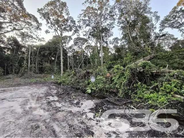 Terreno venda em Região Geográfica Imediata de Joinville, Balneario Barra do Sul