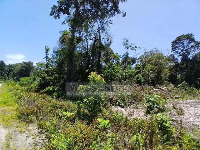 Terreno venda em Região Geográfica Imediata de Joinville, Balneario Barra do Sul