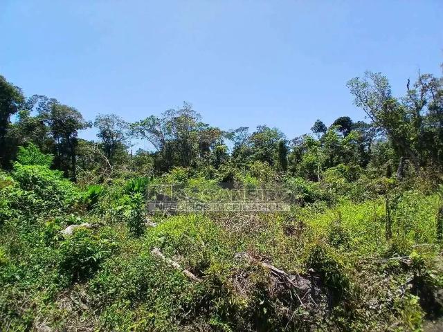 Terreno venda em Região Geográfica Imediata de Joinville, Balneario Barra do Sul