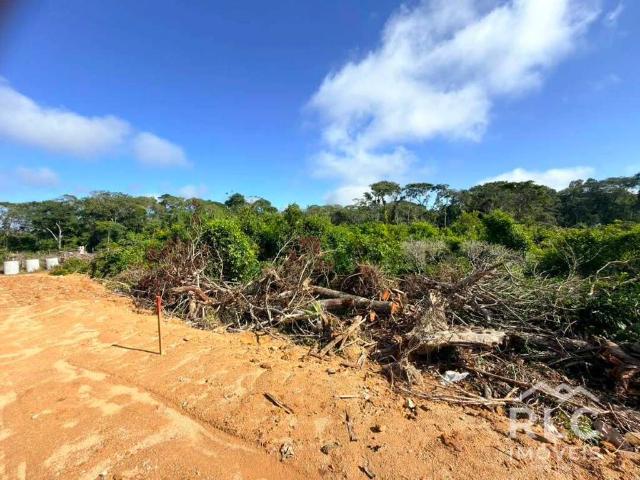 Terreno venda em Balneário Barra do Sul, Região Geográfica Intermediária de Joinville
