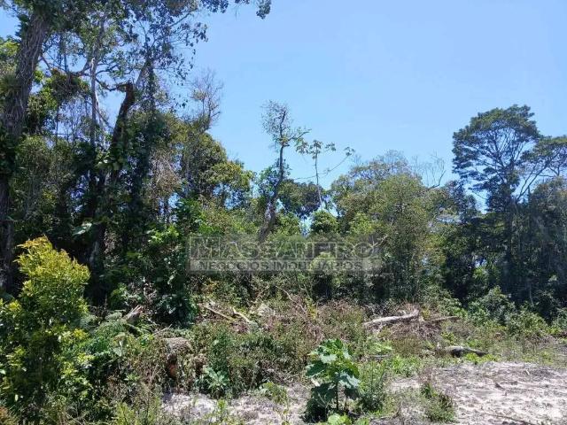 Terreno venda em Região Geográfica Imediata de Joinville, Balneario Barra do Sul