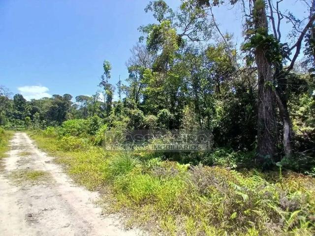 Terreno venda em Região Geográfica Imediata de Joinville, Balneario Barra do Sul