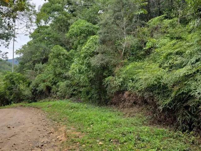 Terreno venda em Região Geográfica Imediata de Itajaí, Balneario Camboriú
