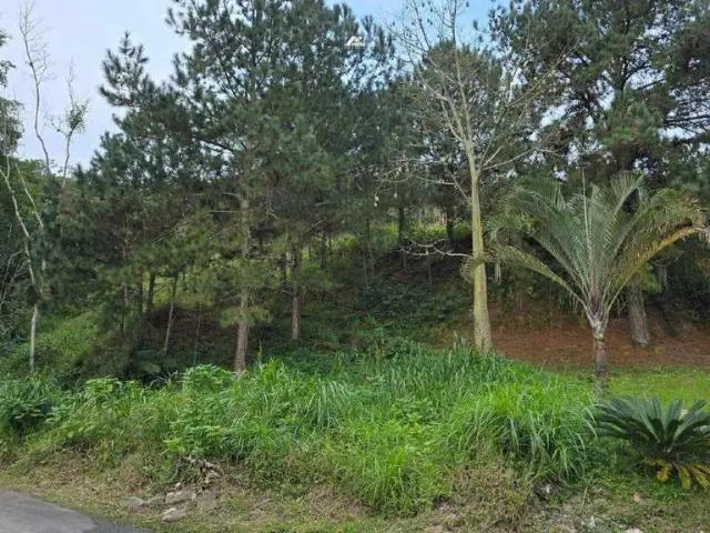 Terreno venda em Região Geográfica Imediata de Itajaí, Balneario Camboriú