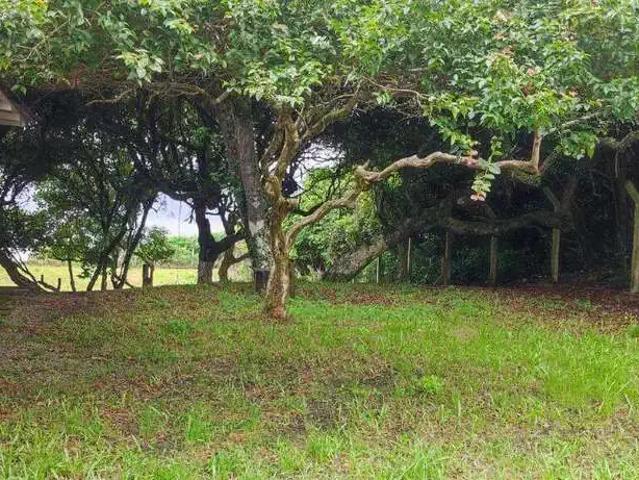 Terreno venda em Região Geográfica Imediata de Itajaí, Balneario Camboriú