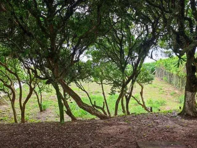 Terreno venda em Região Geográfica Imediata de Itajaí, Balneario Camboriú
