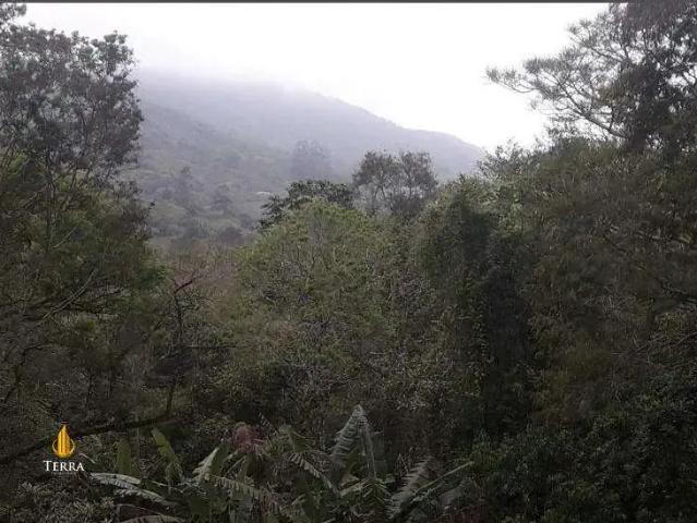 Terreno venda em Região Geográfica Imediata de Itajaí, Balneario Camboriú