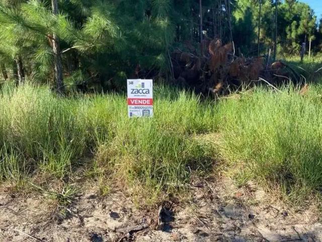 Terreno venda em Região Geográfica Imediata de Araranguá, Balneario Gaivota