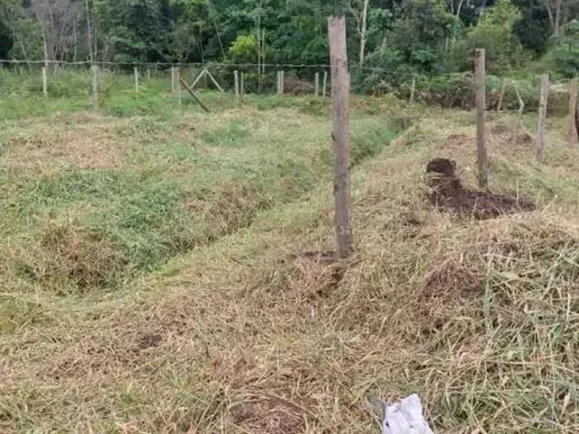 Terreno venda em Região Geográfica Imediata de Itajaí, Piçarras