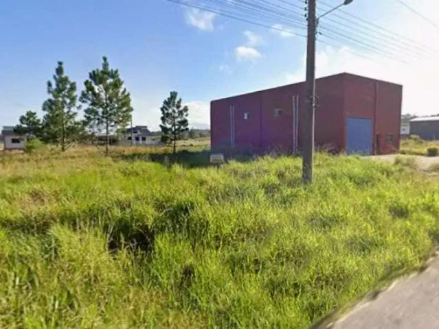 Terreno venda em Região Geográfica Imediata de Criciúma, Região Sul
