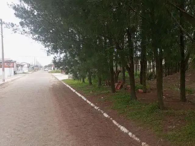 Terreno venda em Região Geográfica Imediata de Criciúma, Região Sul