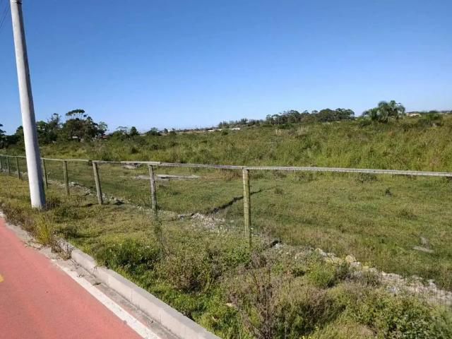 Terreno venda em Região Geográfica Imediata de Criciúma, Região Sul