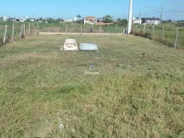 Terreno venda em Região Geográfica Imediata de Criciúma, Região Sul