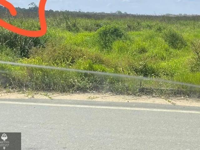 Terreno venda em Região Geográfica Imediata de Criciúma, Região Sul