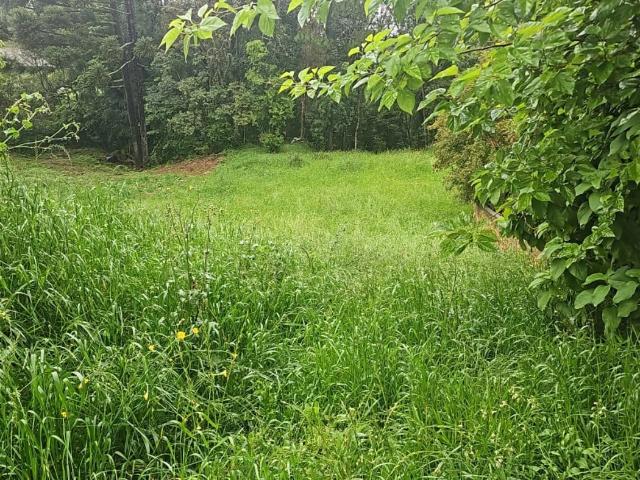Terreno venda em Bugre, Balsa Nova