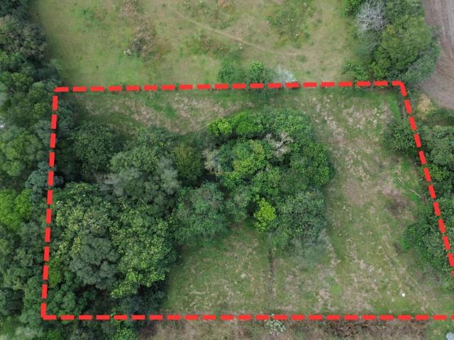 Terreno venda em Balsa Nova, Região Geográfica Intermediária de Curitiba