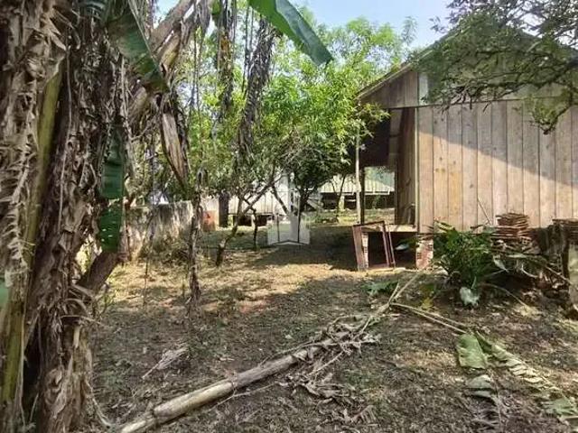 Terreno venda em Região Geográfica Imediata de Barreiras, Barreiras