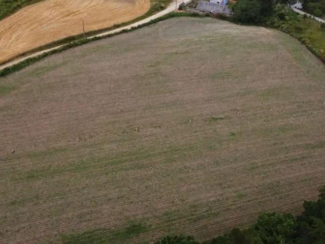 Terreno venda em Região Geográfica Imediata de Curitiba, Região Metropolitana de Curitiba