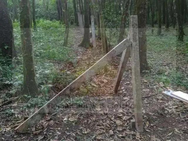 Terreno venda em Região Geográfica Imediata de Curitiba, Região Metropolitana de Curitiba