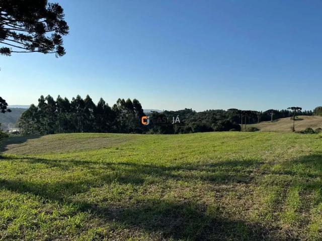 Terreno venda em Região Geográfica Imediata de Curitiba, Região Metropolitana de Curitiba
