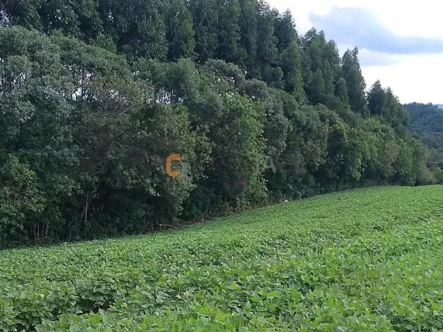 Terreno venda em Região Geográfica Imediata de Curitiba, Região Metropolitana de Curitiba