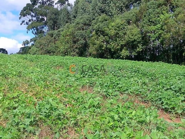 Terreno venda em Bugre, Balsa Nova