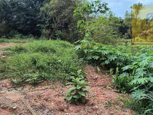 Terreno venda em Região Geográfica Imediata de Curitiba, Região Metropolitana de Curitiba