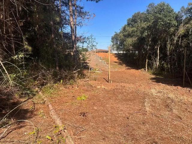 Terreno venda em Região Geográfica Imediata de Curitiba, Região Metropolitana de Curitiba