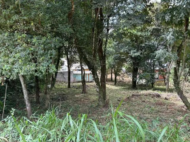 Terreno venda em Região Geográfica Imediata de Curitiba, Região Metropolitana de Curitiba