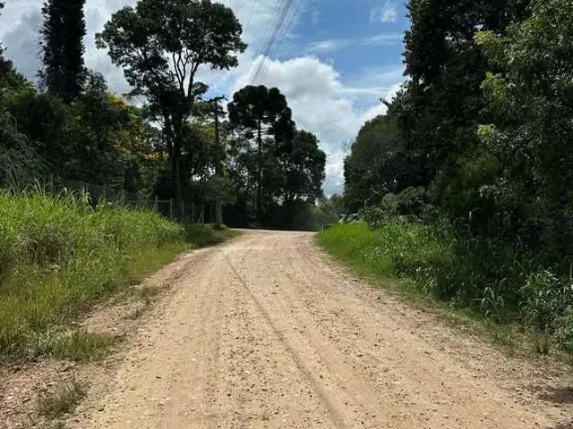 Terreno venda em Região Geográfica Imediata de Curitiba, Região Metropolitana de Curitiba