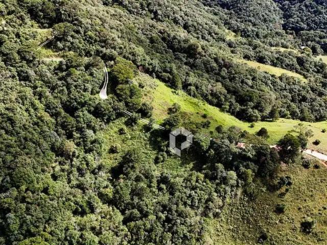 Terreno venda em Região Geográfica Imediata de Curitiba, Região Metropolitana de Curitiba