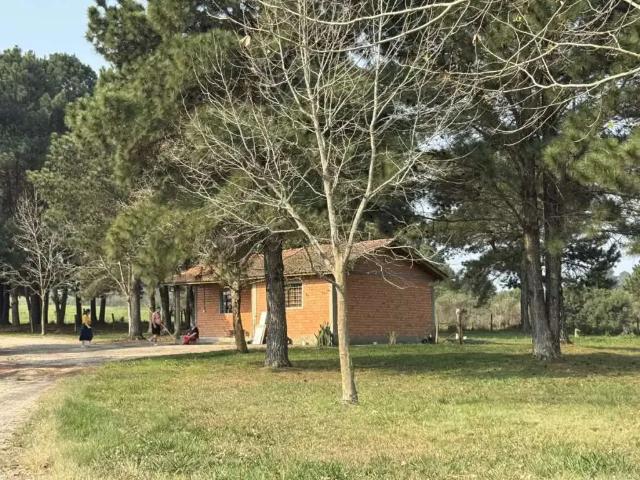 Terreno venda em Região Geográfica Imediata de Curitiba, Região Metropolitana de Curitiba