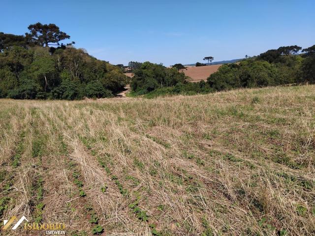 Terreno venda em Balsa Nova, Região Geográfica Intermediária de Curitiba