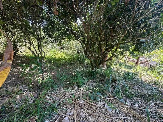 Terreno venda em Região Imediata de Cruzeiro, Região Metropolitana do Vale do Paraíba e Litoral Norte