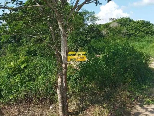 Terreno venda em Região Geográfica Imediata de Guarabira, Região Nordeste
