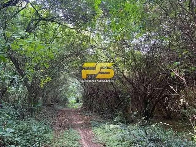 Terreno venda em Região Geográfica Imediata de Guarabira, Bananeiras