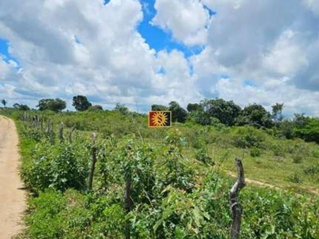 Terreno venda em Região Geográfica Imediata de Guarabira, Bananeiras