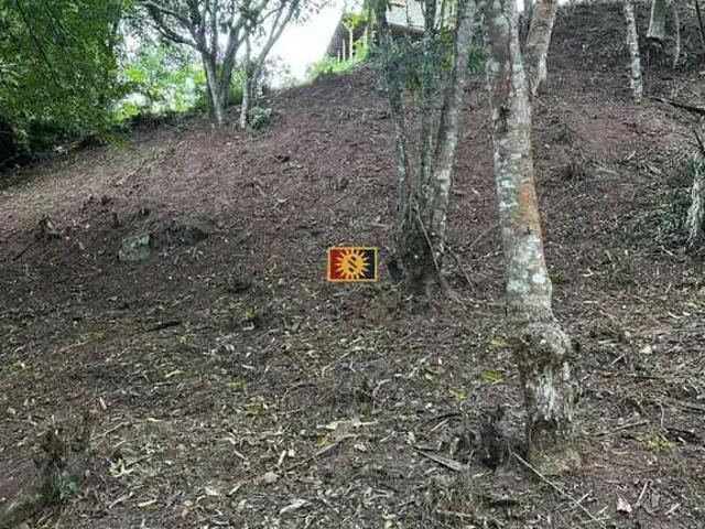 Terreno venda em Região Geográfica Imediata de Guarabira, Bananeiras