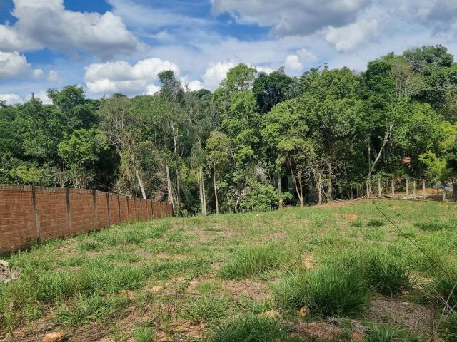 Terreno venda em Bandeira do Sul, Região Geográfica Intermediária de Pouso Alegre