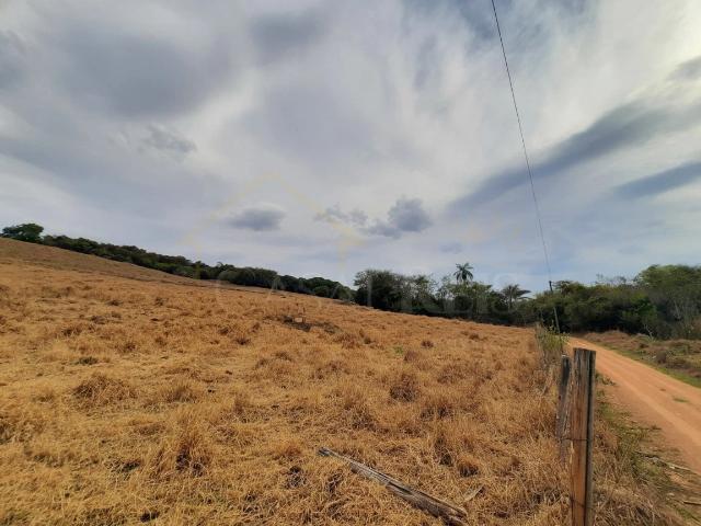 Terreno venda em Bandeira do Sul, Região Geográfica Intermediária de Pouso Alegre