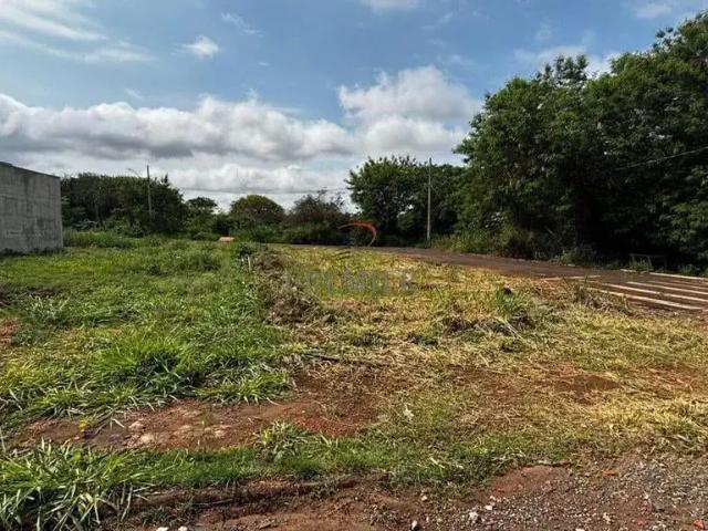 Terreno venda em Região Geográfica Imediata de Cornélio Procópio-Bandeirantes, Bandeirantes