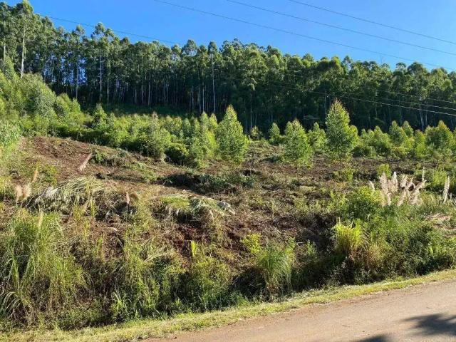 Terreno venda em Região Geográfica Imediata de Bento Gonçalves, Barão