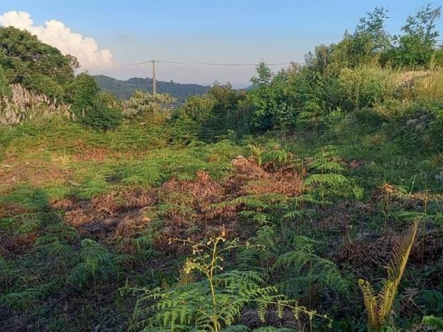 Terreno venda em Barão, Região Geográfica Intermediária de Caxias do Sul
