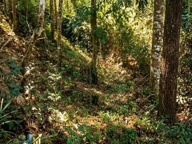 Terreno venda em Região Geográfica Imediata de Volta Redonda-Barra Mansa, Barra do Piraí