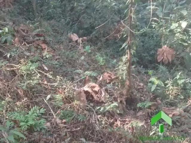 Terreno venda em Região Geográfica Imediata de Volta Redonda-Barra Mansa, Barra do Piraí
